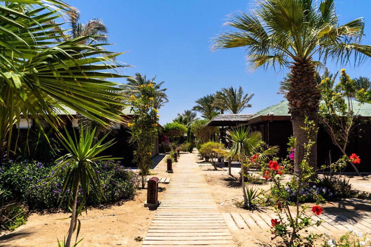 Abu Dabbab Lodge Exterior photo